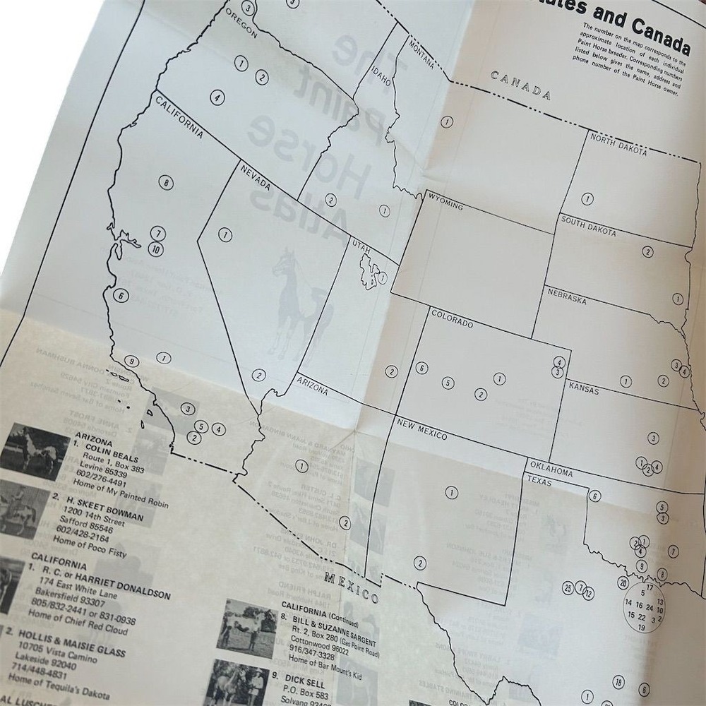 The Paint Horse Atlas by American Paint Horse Association Paperback